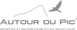 Autour du Pic