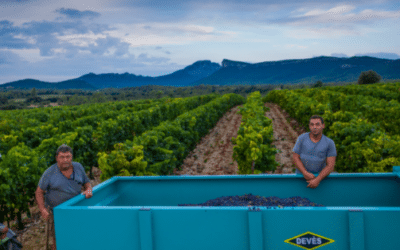 La Gravette à Corconne